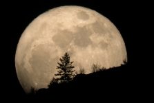 Mơ thấy mặt trăng là điềm báo lành hay dữ?