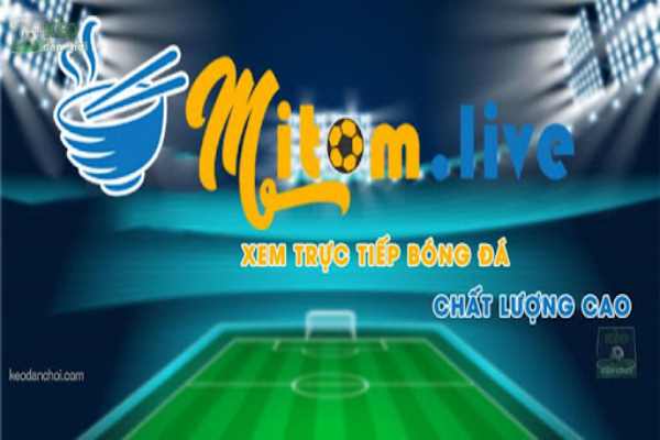 xem live bóng đá trực tuyến tại Mitom TV