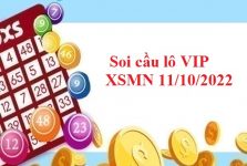 Soi cầu lô VIP XSMN 11/10/2022