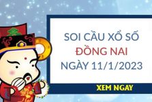 Soi cầu KQXS Đồng Nai ngày 11/1/2023 thứ 4 hôm nay