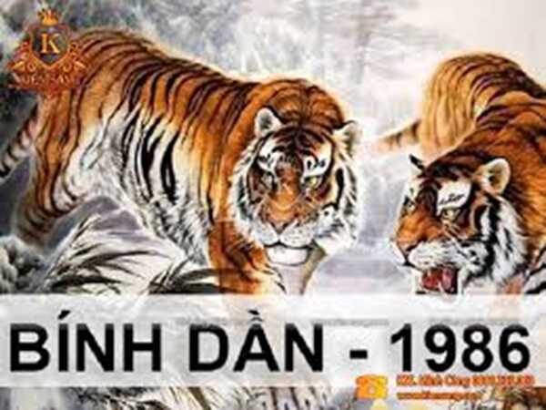 Con số may mắn tuổi Bính Dần hôm nay mang tài lộc ập tới