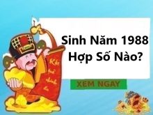 sinh năm 1988