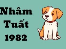 Con số đẹp tuổi Nhâm Tuất 6/3/2025 hút tài lộc bất ngờ