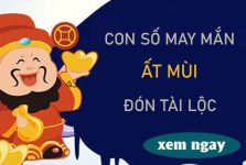 Mở đường thành công với con số may mắn tuổi Ất Mùi