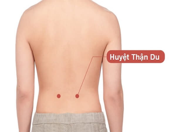 Huyệt Thận Du (BL23) – phục hồi chức năng sinh lý