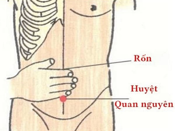 Tìm hiểu cơ chế bấm huyệt tác động tới sinh lý nam ra sao