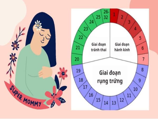 Các phương pháp hỗ trợ tính ngày thụ thai