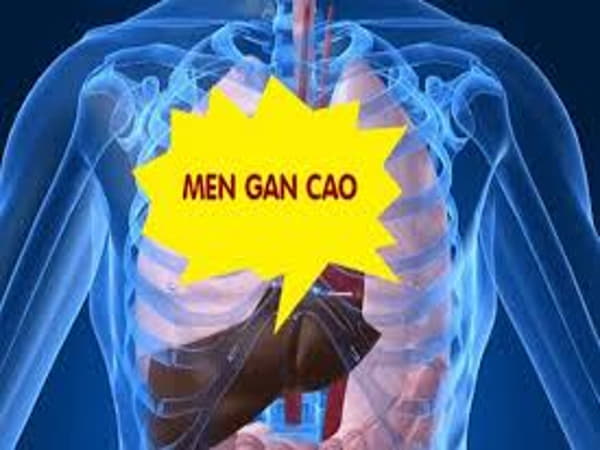 Men gan cao là gì? Có nguy hiểm không?