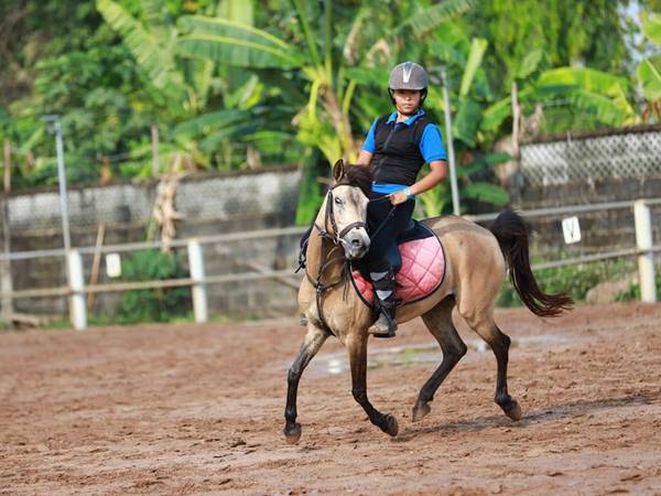 Biểu tượng của ngựa trong giấc mơ