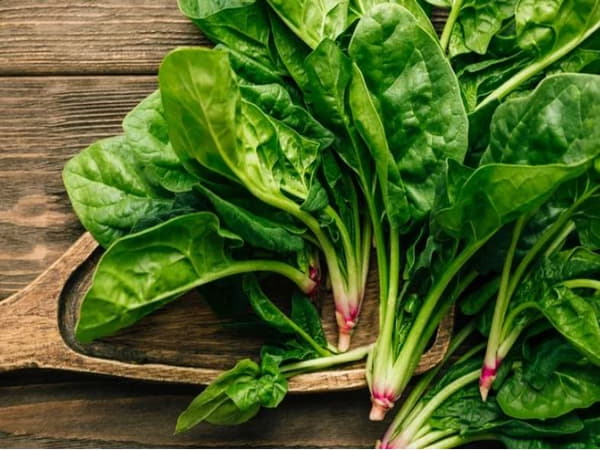 Rau Bina (Spinach) – Làm sạch máu và tốt cho gan