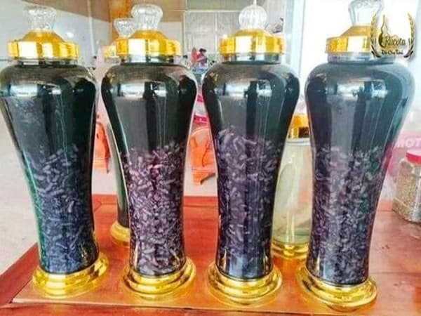 Rượu ba kích tím – Tăng ham muốn, hỗ trợ cương dương