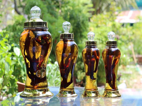 Rượu thuốc tăng sinh lý nam là gì ? Có thực sự hiệu quả?
