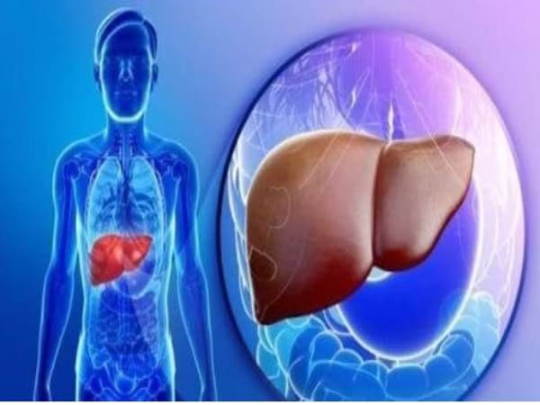 Gan thải độc như thế nào - Vì sao lại bị kém đi
